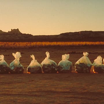 Desert Highway Cleansing / Twelve Bags of Trash, Utah, 2000