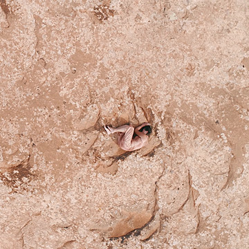 BODY/ROCK, Utah, 2018-2019
