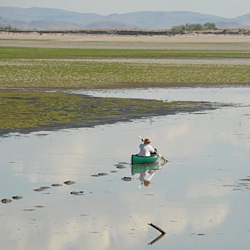 Meditations on Desertification, Lahontan Reservoir, NV, 2008–2009