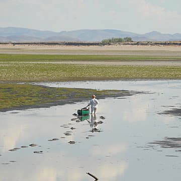 Meditations on Desertification, Lahontan Reservoir, NV, 2008–2009