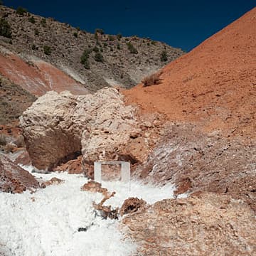 Homage to Soil, 2019