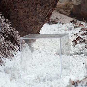 Homage to Soil, 2019