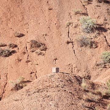 Homage to Soil, 2019