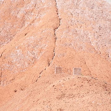 Homage to Soil, 2019