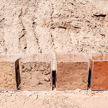 Homage to Soil, 2019