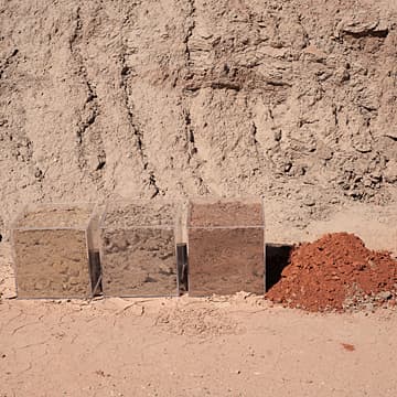 Homage to Soil, 2019