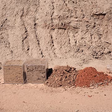 Homage to Soil, 2019