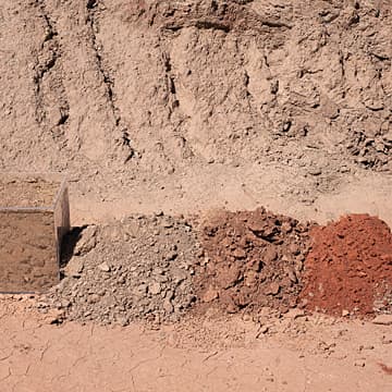 Homage to Soil, 2019
