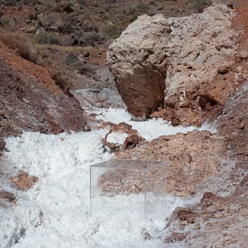 Homage to Soil, 2019