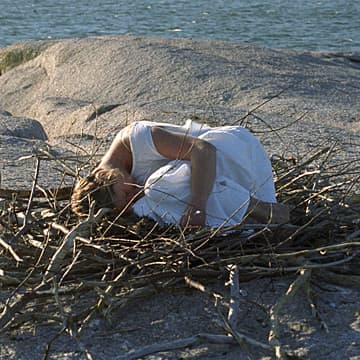 Nest, Maine, 2002