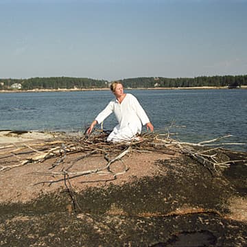 Flying Lessons I, Maine, 2002