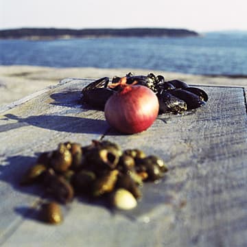 Dinner Party for One on Nothingness, Maine, 2002