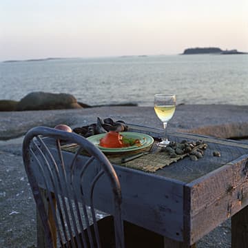 Dinner Party for One on Nothingness, Maine, 2002