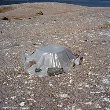 Solar Still Phase II, Maine, 2002