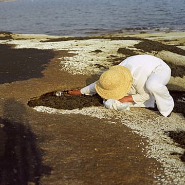 Early Morning Trash Collection, Maine, 2003