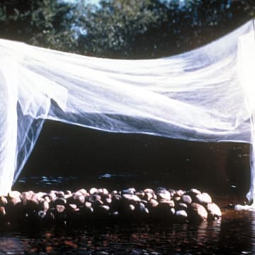 Wedding Bed, Newfoundland, 1999
