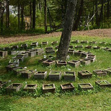 Transition (Installation view), Unison Arts Center, New Paltz, NY, 2019