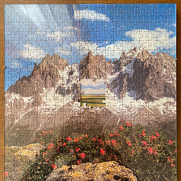 Tunnel Vision puzzle, 2020